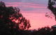 Treetops Cottage - thumb 30