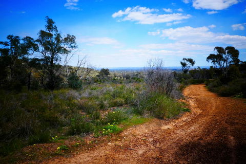 Treetops Cottage - Tourism Gold Coast 35