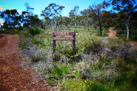 Treetops Cottage - Tourism Gold Coast 34