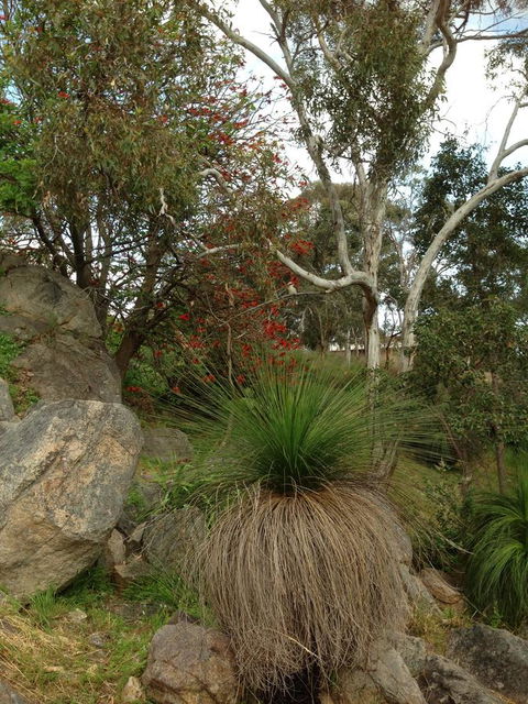 Treetops Cottage - Tourism Gold Coast 26