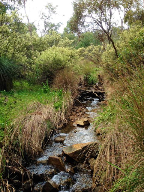 Treetops Cottage - Tourism Gold Coast 22