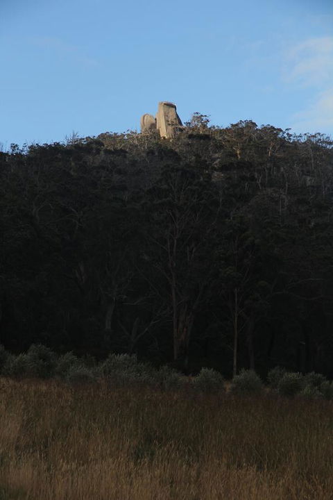 Tanen Farm - Tourism Gold Coast 9