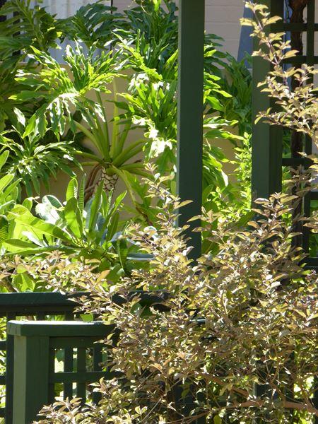 Kalbarri Beach Resort - Tourism Gold Coast 32