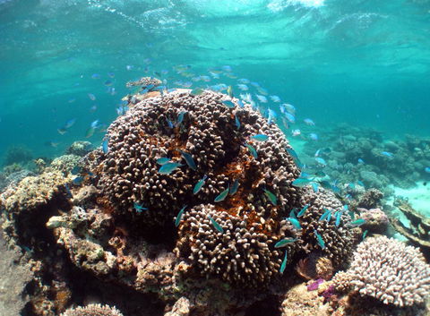Ningaloo Coral Bay â€“ Bayview - Tourism Gold Coast 2