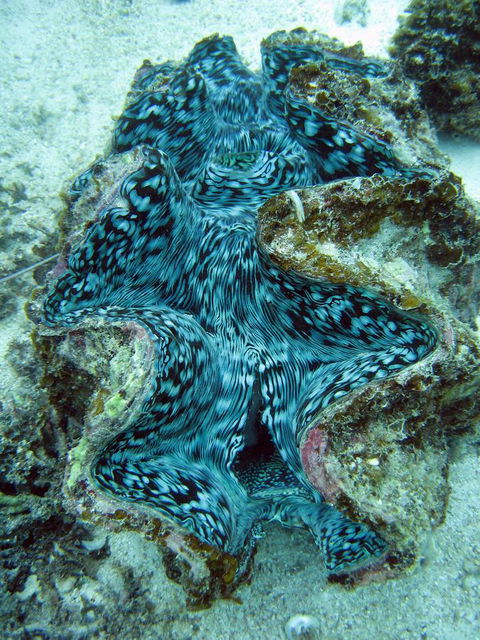 Ningaloo Coral Bay â€“ Bayview - Tourism Gold Coast 5