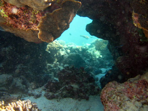 Ningaloo Coral Bay â€“ Bayview - Tourism Gold Coast 4