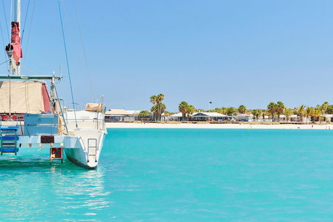 RAC Monkey Mia Dolphin Resort - Tourism Gold Coast 21