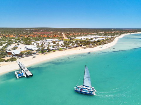 RAC Monkey Mia Dolphin Resort - Tourism Gold Coast 44