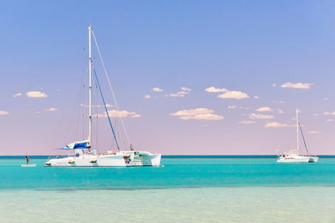 RAC Monkey Mia Dolphin Resort - Tourism Gold Coast 18