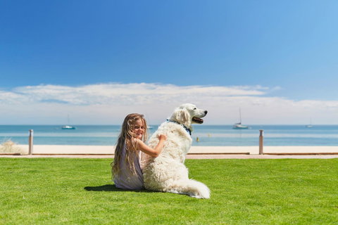 RAC Monkey Mia Dolphin Resort - Tourism Gold Coast 36