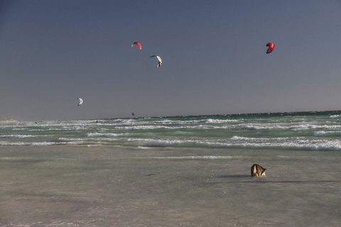 Dongara Tourist Park - Tourism Gold Coast 33