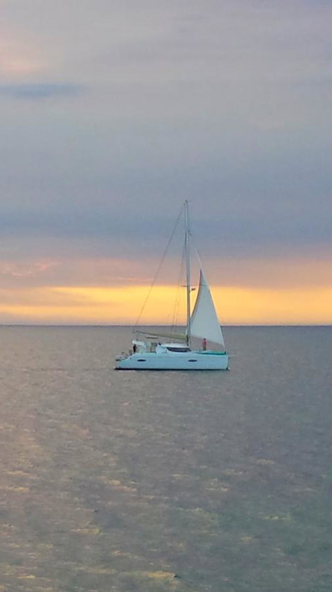Freo's Choice - Tourism Gold Coast 7
