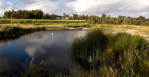 SilverSprings Spa Retreat Pet Friendly Cottages And Glampings - Tourism Gold Coast 2