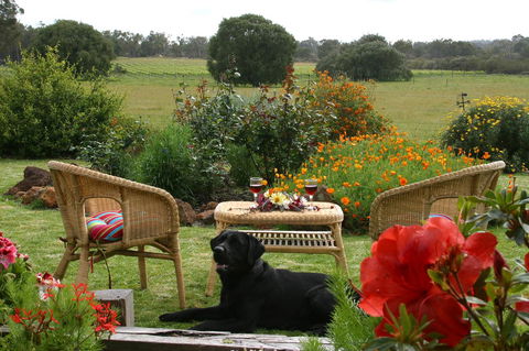 SilverSprings Spa Retreat Pet Friendly Cottages And Glampings - Tourism Gold Coast 0