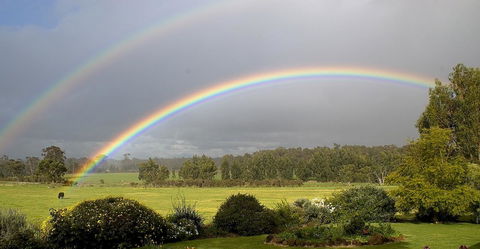 SilverSprings Spa Retreat Pet Friendly Cottages And Glampings - Tourism Gold Coast 19