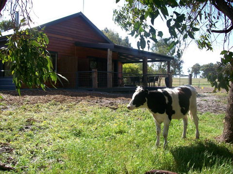 SilverSprings Spa Retreat Pet Friendly Cottages And Glampings - Tourism Gold Coast 23