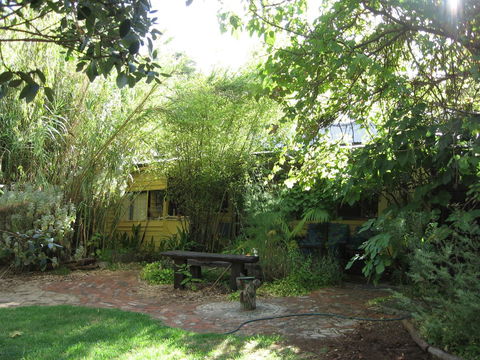 Black Cockatoo Lodge - Tourism Gold Coast 24