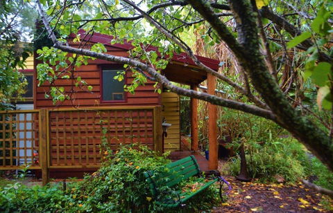 Black Cockatoo Lodge - Tourism Gold Coast 36