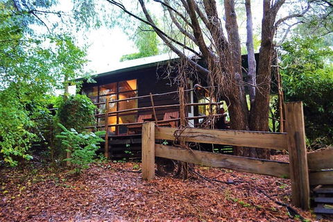 Black Cockatoo Lodge - Tourism Gold Coast 4