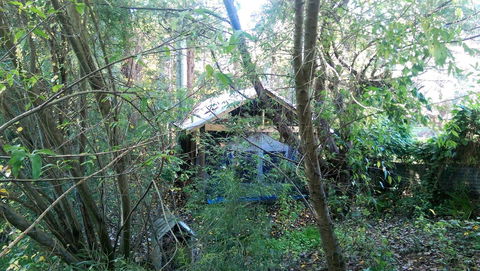 Black Cockatoo Lodge - Tourism Gold Coast 22