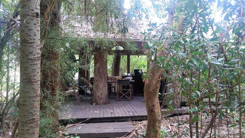 Black Cockatoo Lodge - Tourism Gold Coast 20