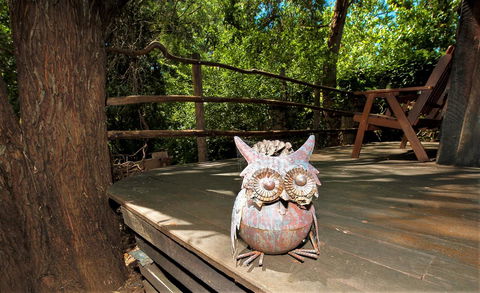 Black Cockatoo Lodge - Tourism Gold Coast 8