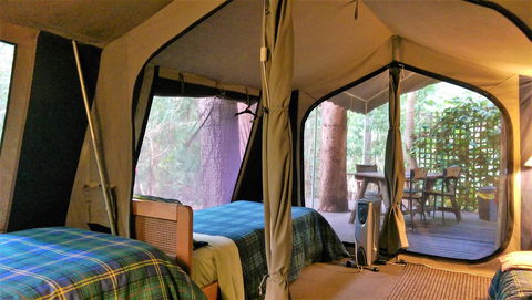 Black Cockatoo Lodge - Tourism Gold Coast 18