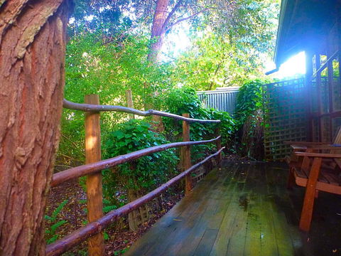 Black Cockatoo Lodge - Tourism Gold Coast 21