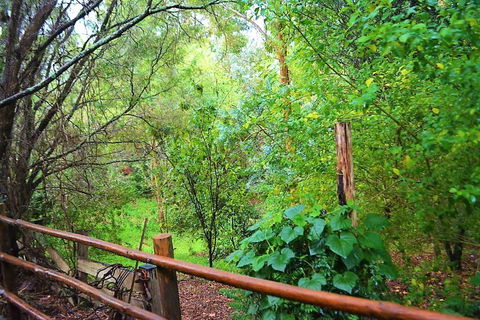 Black Cockatoo Lodge - Tourism Gold Coast 28