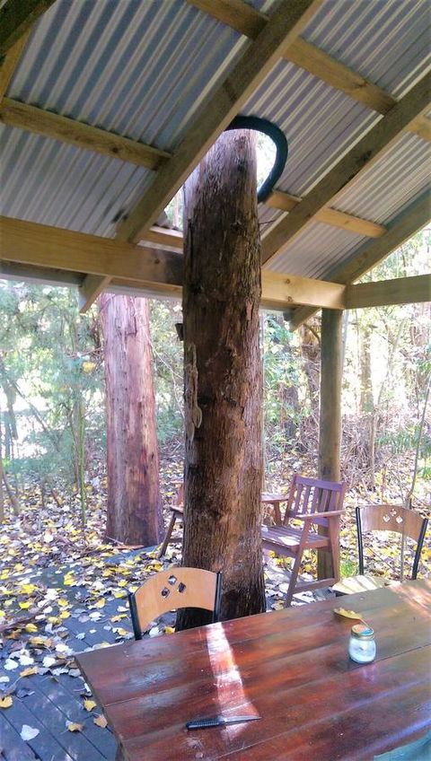 Black Cockatoo Lodge - Tourism Gold Coast 19