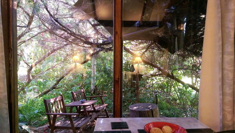Black Cockatoo Lodge - Tourism Gold Coast 32