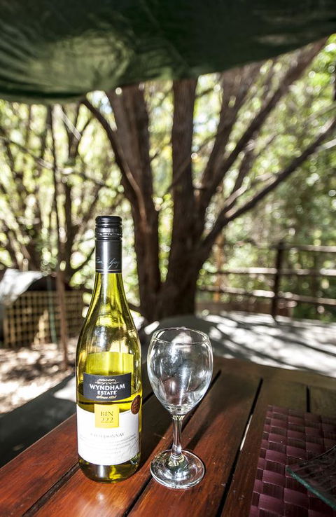 Black Cockatoo Lodge - Tourism Gold Coast 25