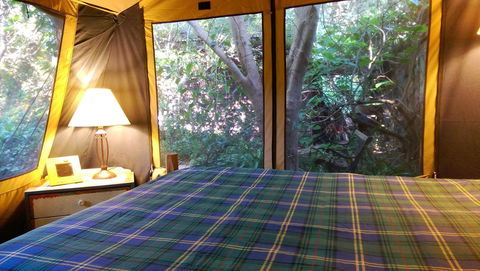 Black Cockatoo Lodge - Tourism Gold Coast 16