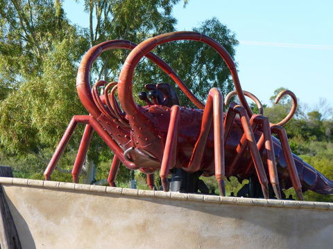 Leander Reef Holiday Park - Tourism Gold Coast 4