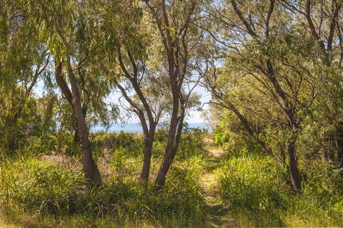 Seahaven - Tourism Gold Coast 7