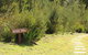 Tamar Solar Home - thumb 14