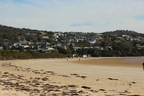 Tamar Solar Home - Tourism Gold Coast 18