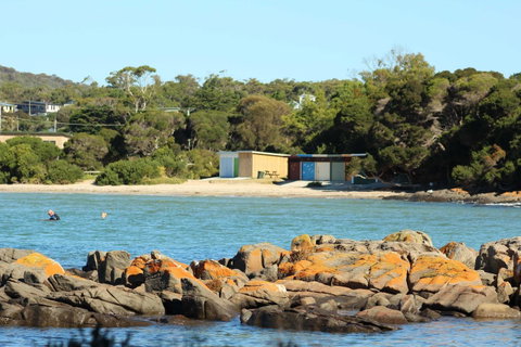 Tamar Solar Home - Tourism Gold Coast 25
