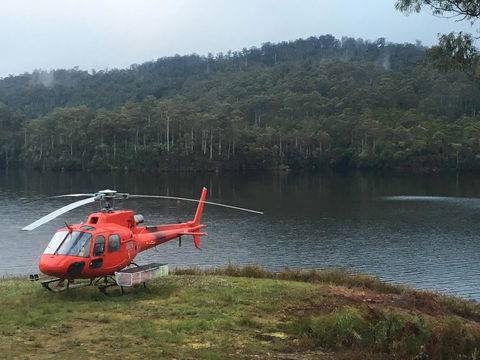 Tullah Lakeside Lodge - Tourism Gold Coast 12