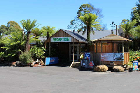Tullah Lakeside Lodge - Tourism Gold Coast 5