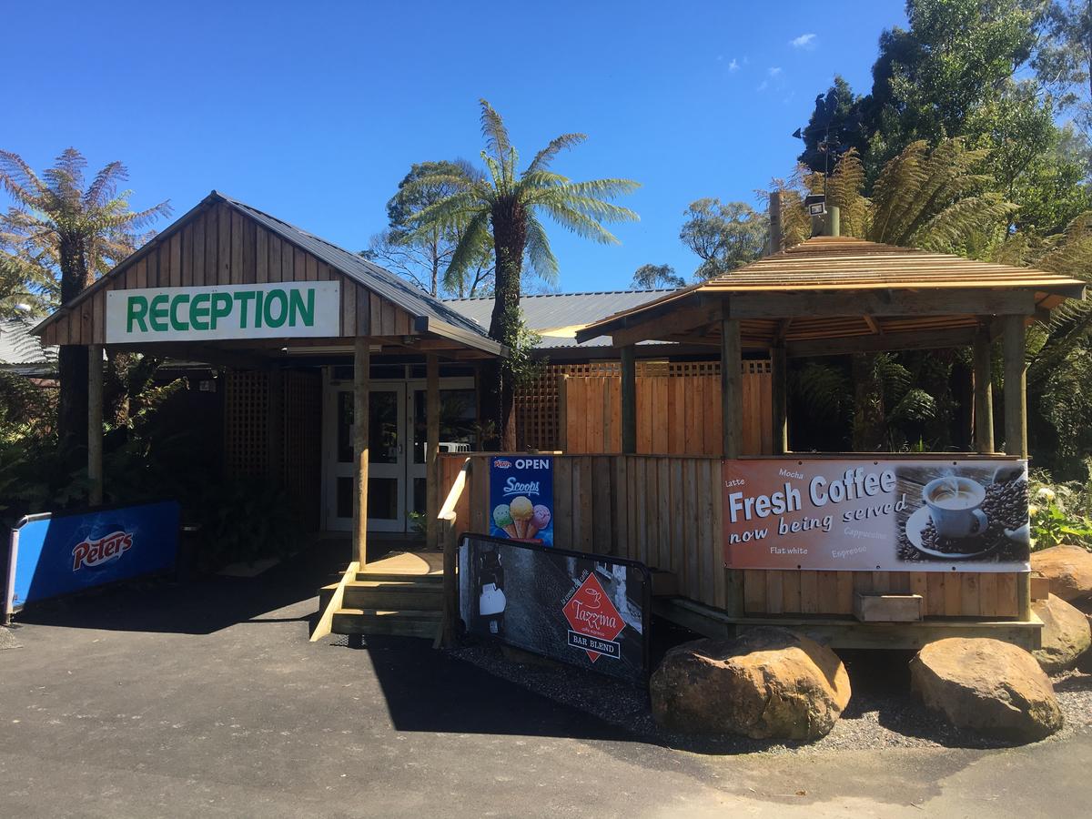 Hampshire TAS Tourism Gold Coast