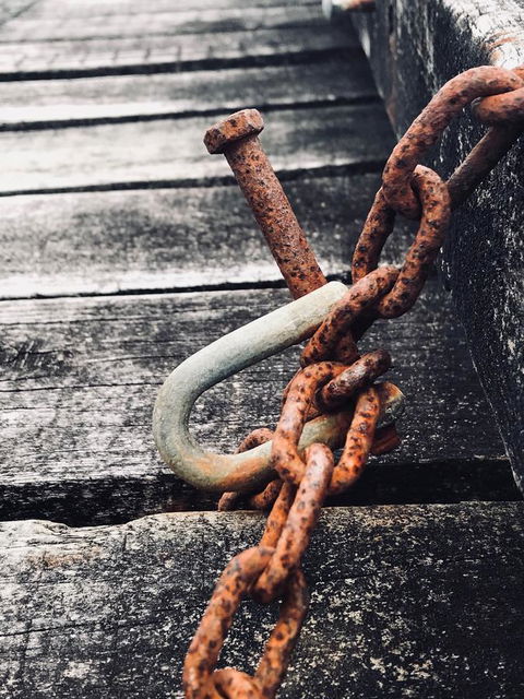 Salt Box Hideaway - Tourism Gold Coast 19