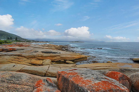 Harvey Farm Lodge - Tourism Gold Coast 2