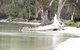 The Boat Shed - thumb 12