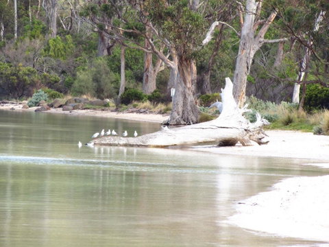 The Boat Shed - Tourism Gold Coast 12