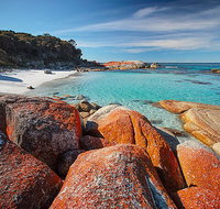 Homelea Accommodation