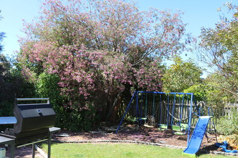 Sisters Beach Paradise - Tourism Gold Coast 9
