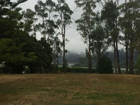 Amble\'a\'While On Tamar - Tourism Gold Coast 39