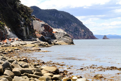 Aplite House - Gold Coast 26