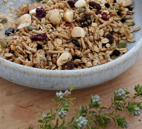 Aplite House - Gold Coast 24